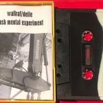 Wallraf/Delle, Flash Mental Experiment – Split Kaset (Noise)