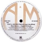Janet Jackson – Say You Do 12'' Maxi Single Plak - Görsel 3