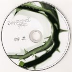 Evanescence – Anywhere But Home CD + DVD - Görsel 4