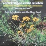 Pataki István – Vadvirágos Erdő Szélén LP Plak