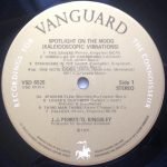 Perrey & Kingsley – Spotlight On The Moog - Kaleidoscopic Vibrations LP Plak - Görsel 3