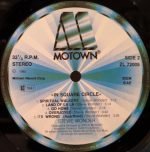 Stevie Wonder – In Square Circle LP Plak - Görsel 4