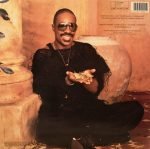Stevie Wonder – In Square Circle LP Plak - Görsel 2