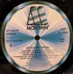 Stevie Wonder – In Square Circle LP Plak - Görsel 3
