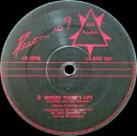 Posion No 9 – Lay All Your Love On Me 12'' Maxi Single Plak - Görsel 4