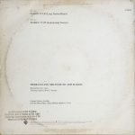 Chaka Khan – Tearin' It Up 12'' Maxi Single Plak - Görsel 2