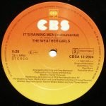 The Weather Girls – It's Raining Men 12'' Maxi Single Plak - Görsel 4