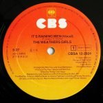 The Weather Girls – It's Raining Men 12'' Maxi Single Plak - Görsel 3