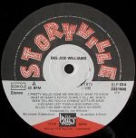 Big Joe Williams – Big Joe Williams LP Plak - Görsel 3