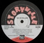 Big Joe Williams – Big Joe Williams LP Plak - Görsel 4