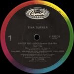 Tina Turner – One Of The Living 12'' Maxi Single Plak - Görsel 2