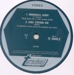 Electronic Music LP Plak - Görsel 2