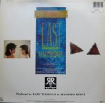 Wish Key – Last Summer 12'' Maxi Single Plak - Görsel 2
