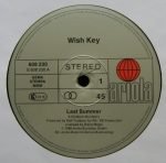 Wish Key – Last Summer 12'' Maxi Single Plak - Görsel 3