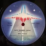 Mike Francis – Survivor 12'' Maxi Single Plak - Görsel 3