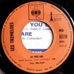 Les Tremeloes – Suddenly You Love Me / As You Are 45lik Plak - Görsel 4