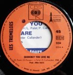 Les Tremeloes – Suddenly You Love Me / As You Are 45lik Plak - Görsel 3