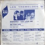 Les Tremeloes – Suddenly You Love Me / As You Are 45lik Plak - Görsel 2