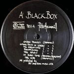 Peter Hammill – A Black Box LP Plak - Görsel 3