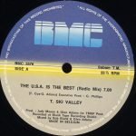 T-Ski Valley – The U.S.A. Is The Best 12'' Maxi Single Plak - Görsel 3