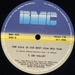 T-Ski Valley – The U.S.A. Is The Best 12'' Maxi Single Plak - Görsel 4