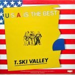 T-Ski Valley – The U.S.A. Is The Best 12'' Maxi Single Plak - Görsel 2