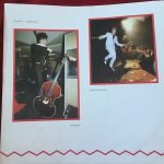 Stray Cats – Stray Cats LP Plak - Görsel 4