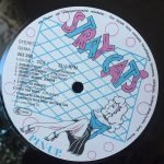 Stray Cats – Stray Cats LP Plak - Görsel 5