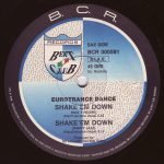 Eurotrance Dance – Shake 'Em Down 12'' Maxi Single Plak (Early House) - Görsel 2