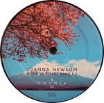 Joanna Newsom – Joanna Newsom & The Ys Street Band E.P. Plak - Görsel 4
