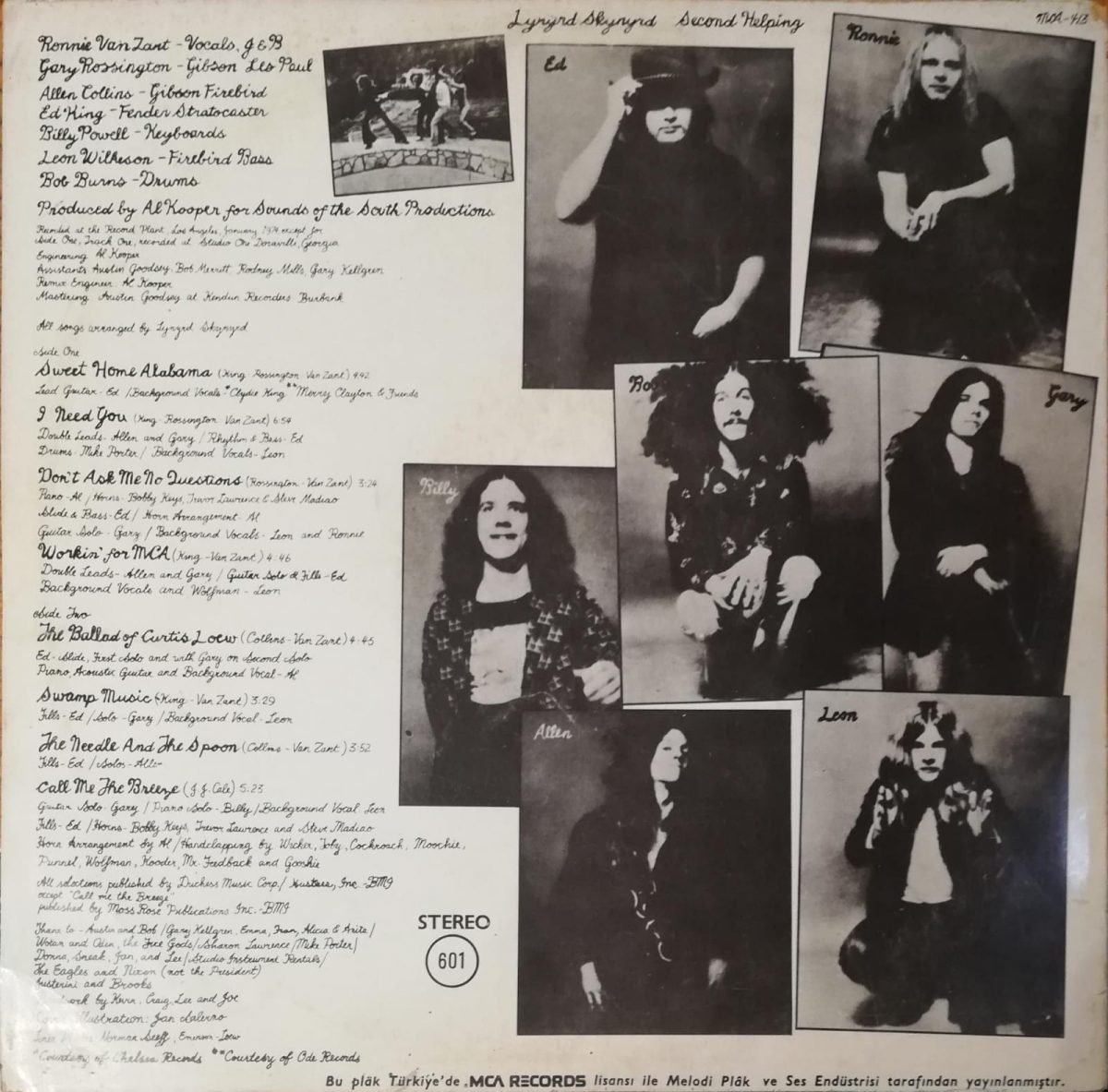 Lynyrd Skynyrd ‎– Second Helping LP Plak - Görsel 2