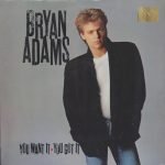 Bryan Adams – You Want It, You Got It LP Plak