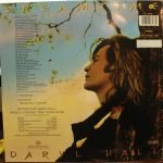 Daryl Hall – Dreamtime 12'' Maxi Single Plak - Görsel 2