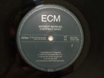 Everyman Band – Without Warning LP Plak - Görsel 4