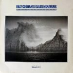 Billy Cobham's Glass Menagerie – Observations & LP Plak