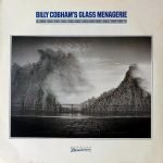 Billy Cobham's Glass Menagerie – Observations & LP Plak