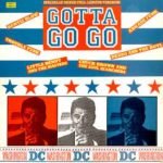 Gotta Go Go Compilation LP Plak