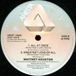 Whitney Houston – Saving All My Love For You 12'' Maxi Single Plak - Görsel 4