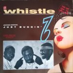 Whistle – (Nothing Serious) Just Buggin' 12'' Maxi Single Plak