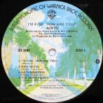 Airto – I'm Fine. How Are You? LP Plak - Görsel 3