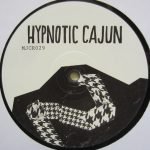 Hypnotic Cajun & Obscure Zydeco 2 LP Plak - Görsel 3