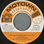 Stevie Wonder – You Are The Sunshine Of My Life / Higher Ground 45lik Plak