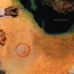 Muslimgauze – Melt 12'' Maxi Single Plak EP
