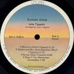 Julie Tippetts – Sunset Glow LP Plak - Görsel 5