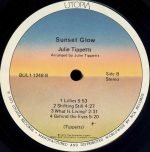 Julie Tippetts – Sunset Glow LP Plak - Görsel 6