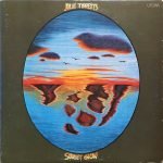 Julie Tippetts – Sunset Glow LP Plak