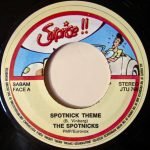 The Spotnicks – Spotnick Theme / Ghost Riders In The Sky 45lik Plak - Görsel 3