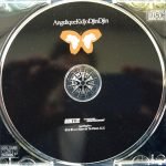 Angelique Kidjo – Djin Djin CD - Görsel 3