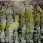 Anla Courtis - Das Synthetische Mischgewebe – Squenun CD
