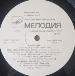 Tatyana I Sergey Nikitiny – Siniy Tsvet LP Plak - Görsel 3